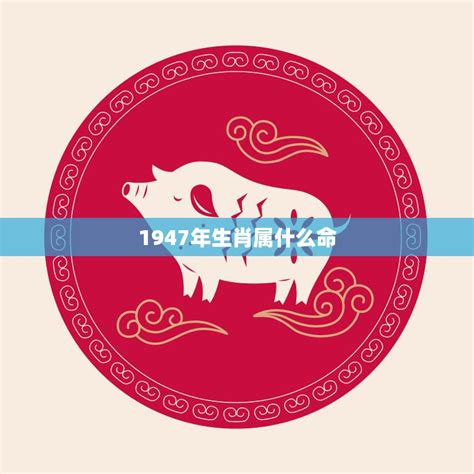 1947年属什么|1947年属什么生肖